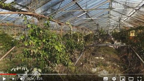 Julien, jeune maraîcher dont l’exploitation a été inondée par le fleuve le Loup, dans la plaine maraîchère de Villeneuve-Loubet (06), témoigne de l’impact sur ses revenus pour plusieurs mois. ©Chambre agriculture 06